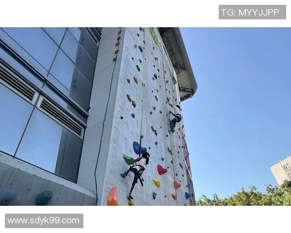 南京攀岩队创新阵地战术探索助力竞技水平提升与团队协作发展